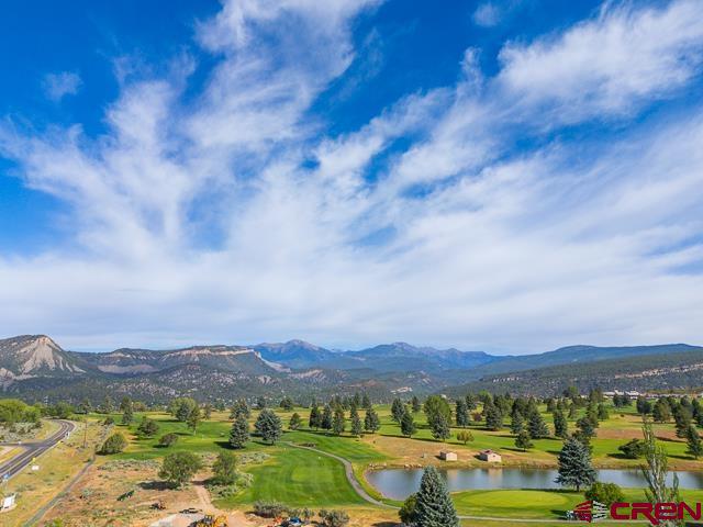 1100 Geoglein Gulch Road, Unit 109 Durango, CO 81301 - Photo 4 of 29