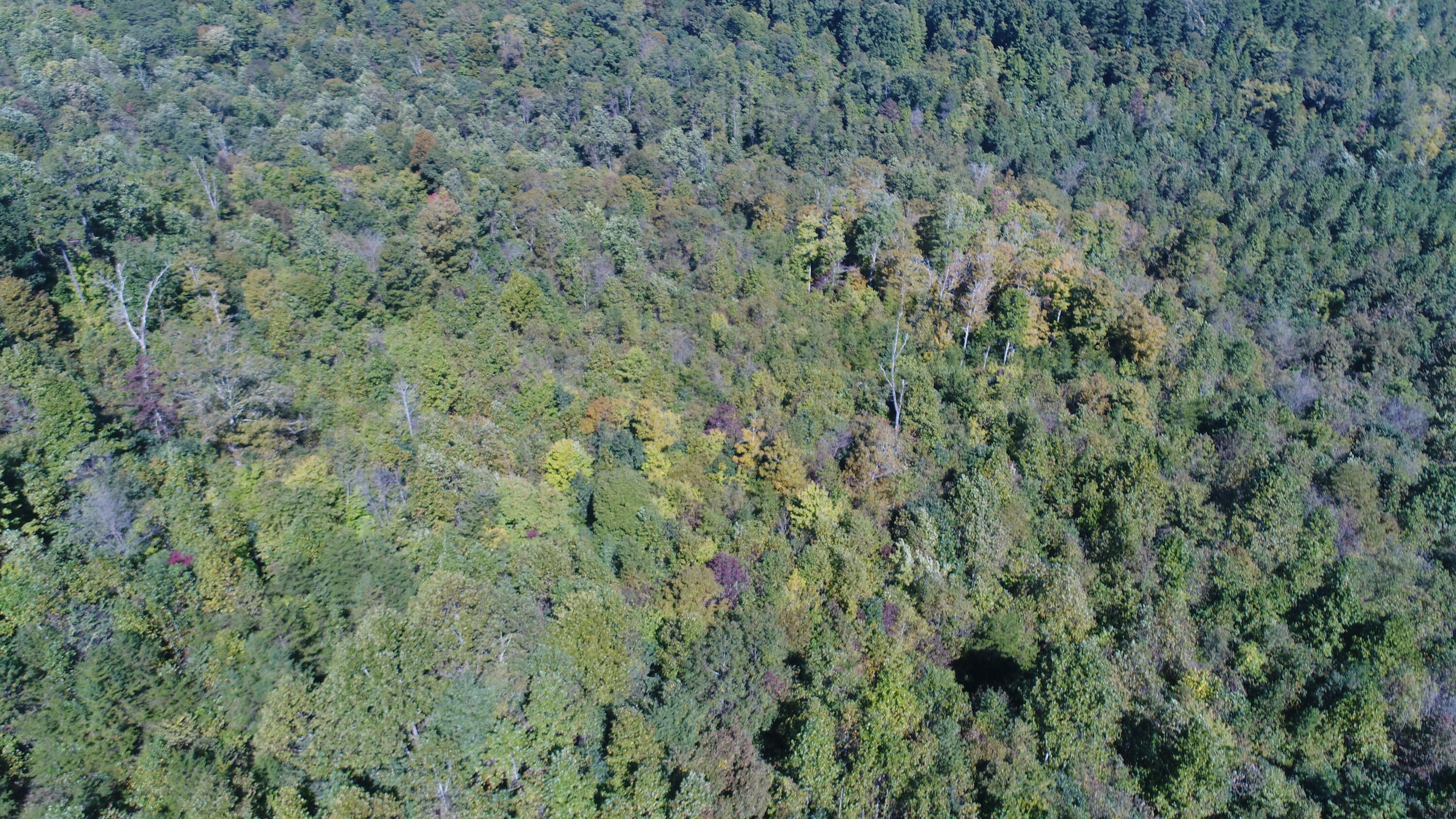 200 Wesley Chapel Road Somerset, KY 42501 - Photo 7 of 19 DJI_0560