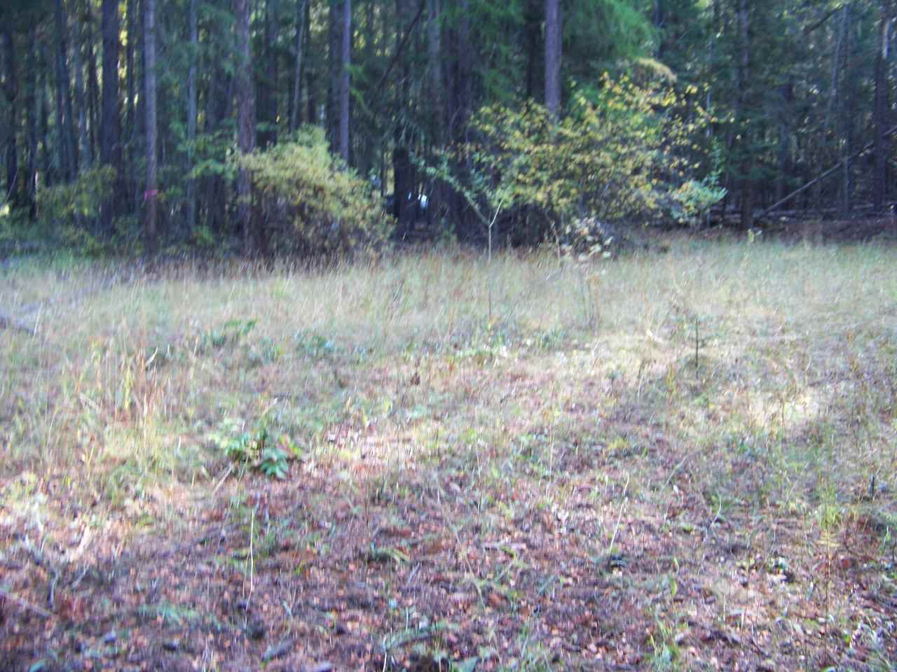 282 Yocum Lake Road Ione, WA 99139 - Photo 22 of 42 Gallery Image 22