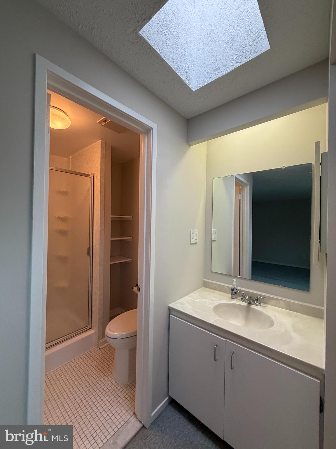 327 James Street Falls Church, VA 22046 - Photo 17 of 35 Primary Bath and Shower