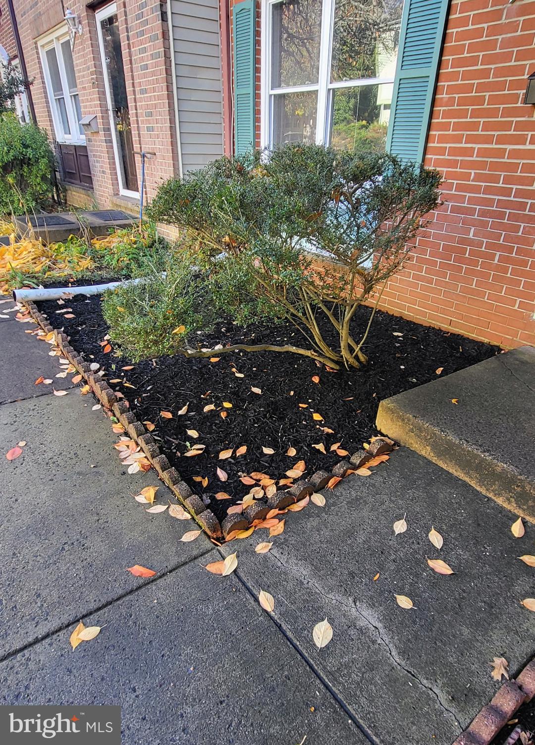 327 James Street Falls Church, VA 22046 - Photo 34 of 35 Front Yard