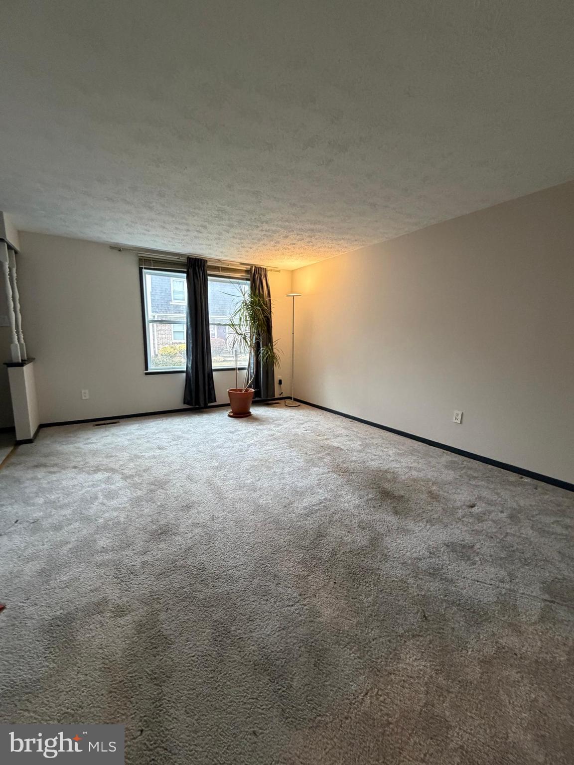 327 James Street Falls Church, VA 22046 - Photo 9 of 35 Living Room with Plant