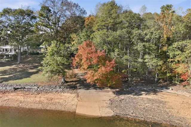 a view of a yard with a tree