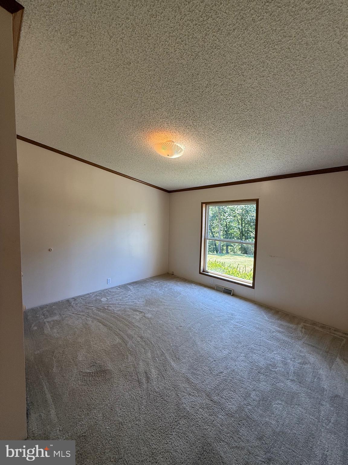 1829 Mozer Road Upper Tract, WV 26866 - Photo 38 of 67 Gallery Image 38