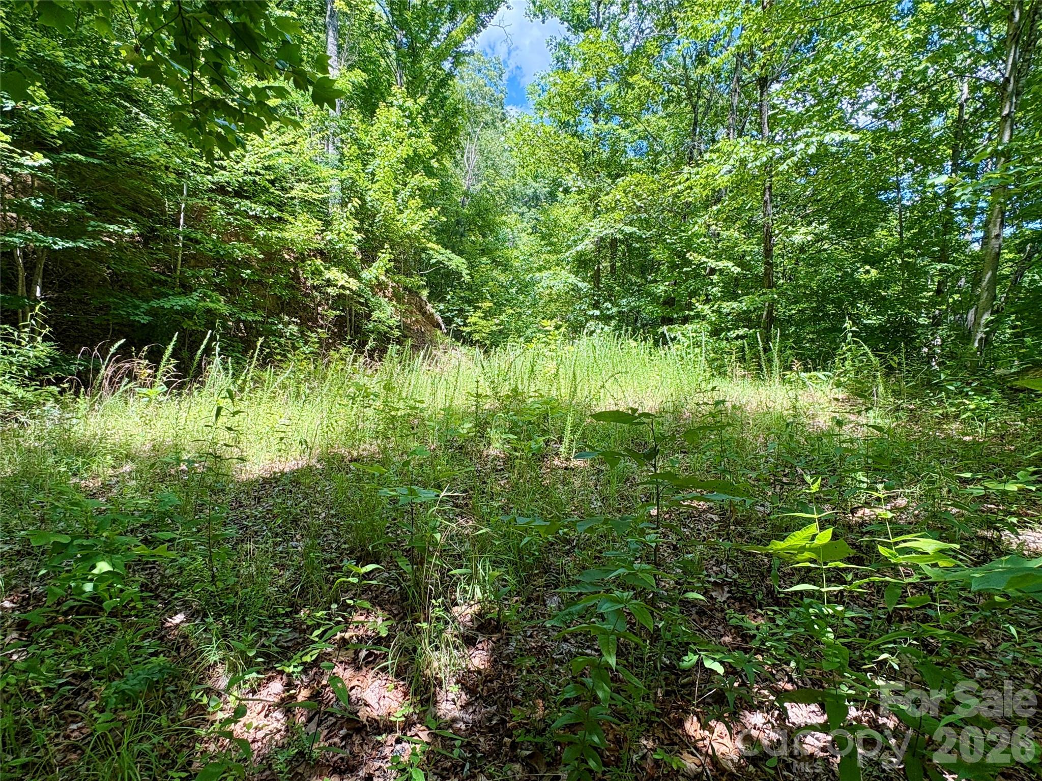 0 Eagles Roost Road, Unit 70 Bryson City, NC 28713 - Photo 7 of 13
