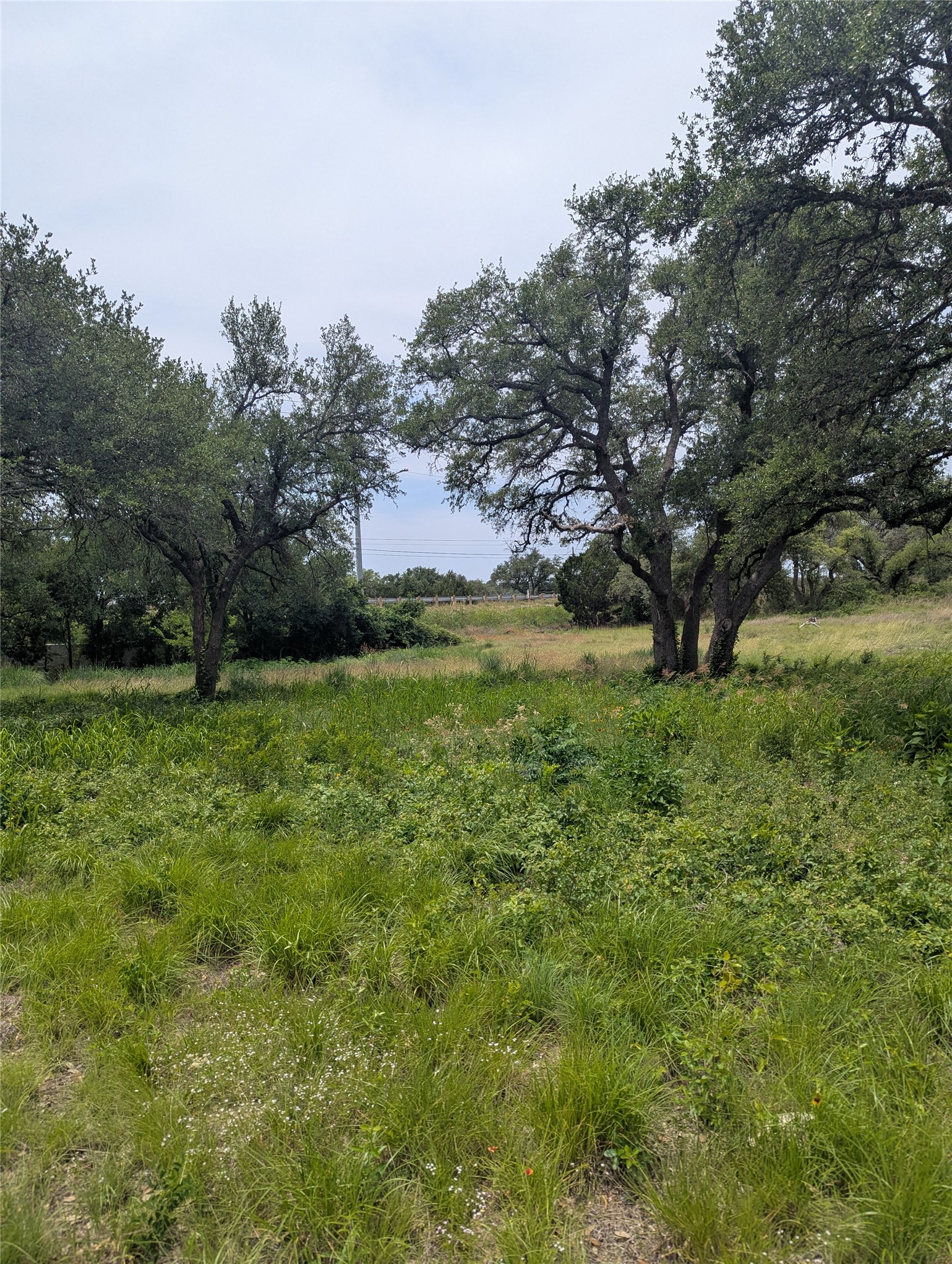 Lot 2 Hamilton Pool Road Bee Cave, TX 78738 - Photo 12 of 14 View of yard with a view of rural / pastoral area
