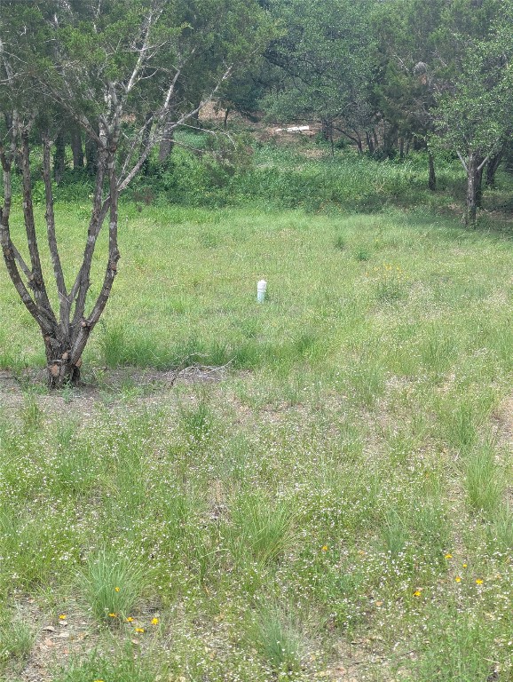 Lot 2 Hamilton Pool Road Bee Cave, TX 78738 - Photo 13 of 14