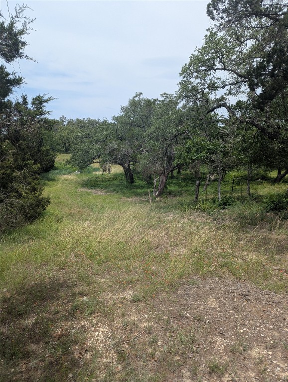 Lot 2 Hamilton Pool Road Bee Cave, TX 78738 - Photo 4 of 14 a view of an outdoor space with a lake view