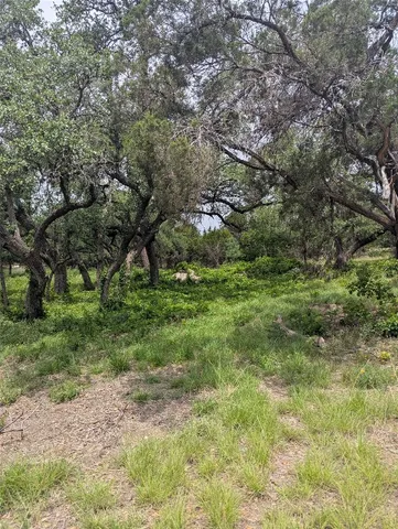 a big yard with lots of green space and deers
