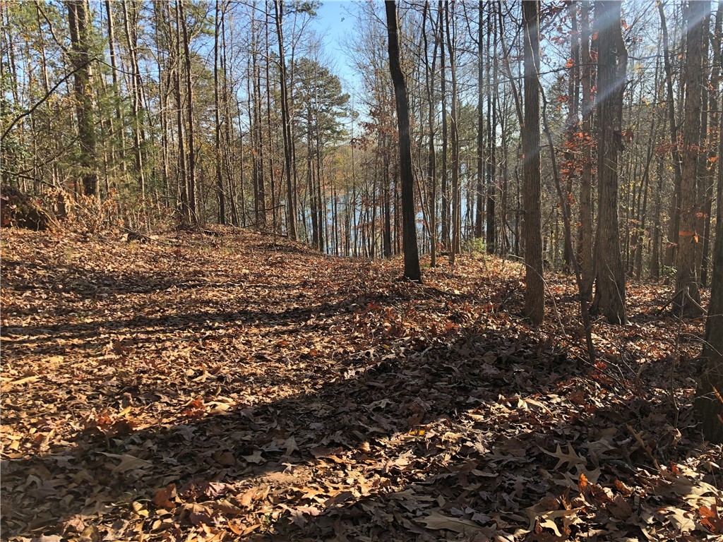 Lot 5 Hix Road Anderson, SC 29625 - Photo 2 of 7 Gallery Image 2