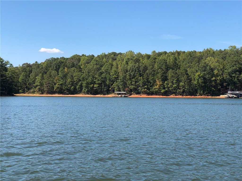Lot 5 Hix Road Anderson, SC 29625 - Photo 6 of 7 Gallery Image 6