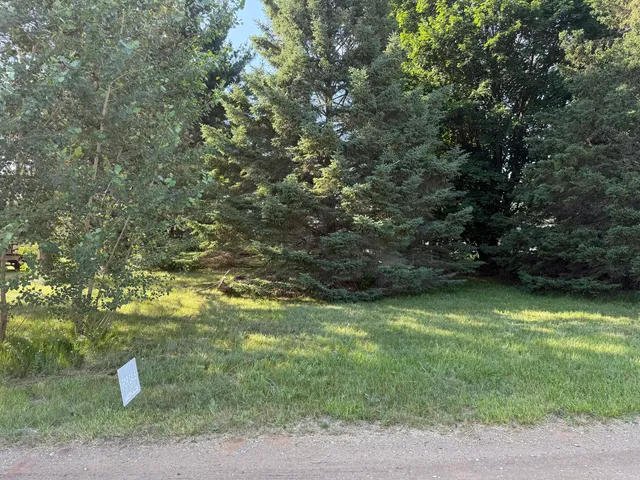 $25,000 | Lot 12 Pennsylvania Avenue, Cadillac, MI 49601