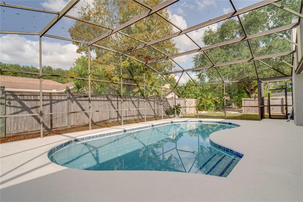 1504 East Spring Ridge Circle Winter Garden, FL 34787 - Photo 18 of 21 a view of a swimming pool