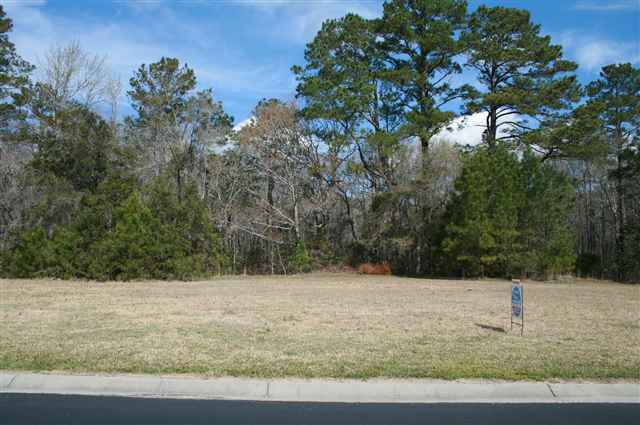 Lot 17 Hagar Brown Road Murrells Inlet, SC 29576 - Photo 1 of 3 Gallery Image 1