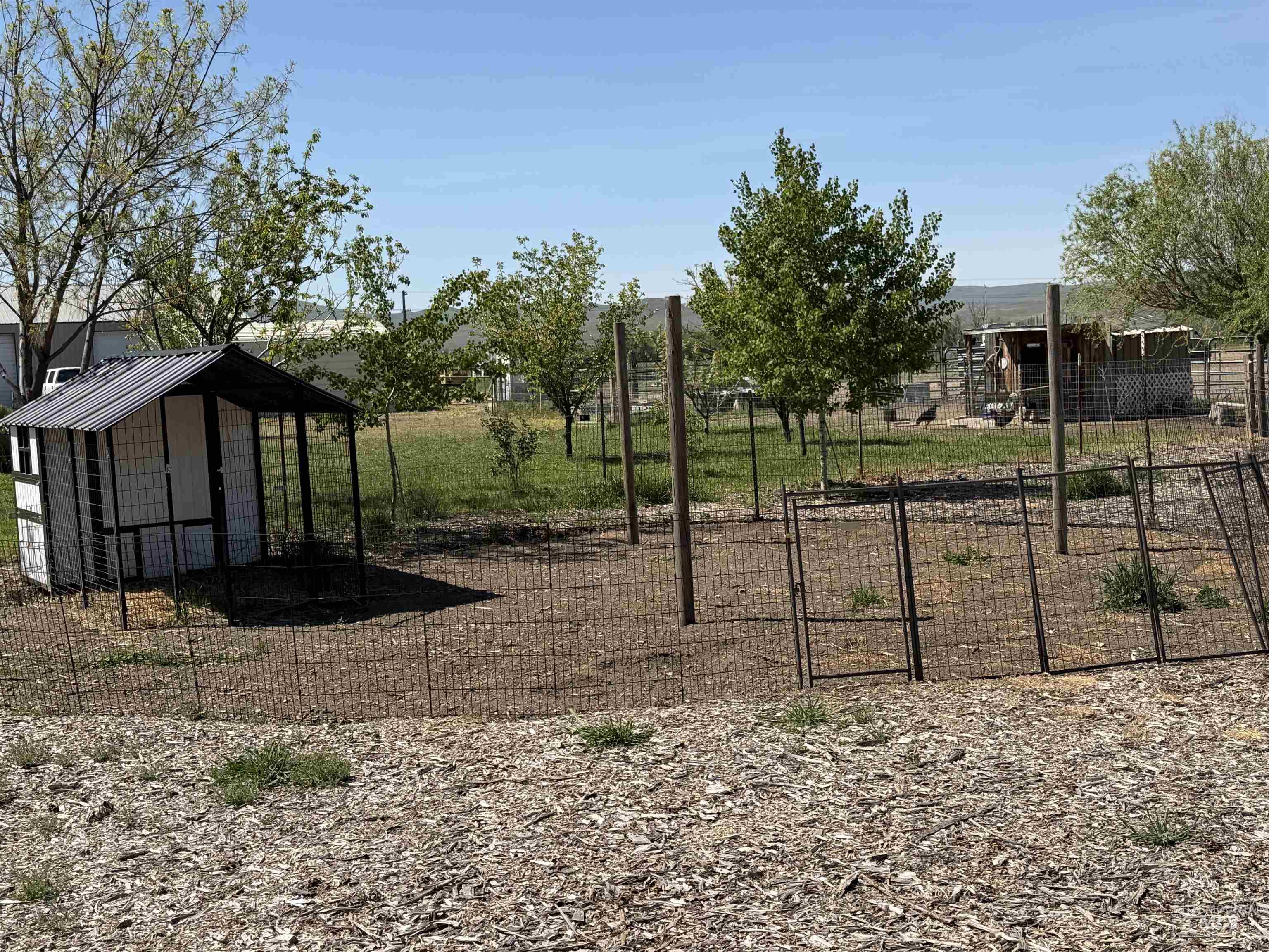 875 Eaton Road Weiser, ID 83672 - Photo 26 of 30 Enclosed outdoor area featuring a modern coop with a corrugated metal roof, fenced perimeter, and planted trees