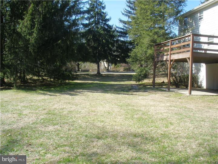 8908 Patton Road Glenside, PA 19038 - Photo 4 of 25 Back Yard