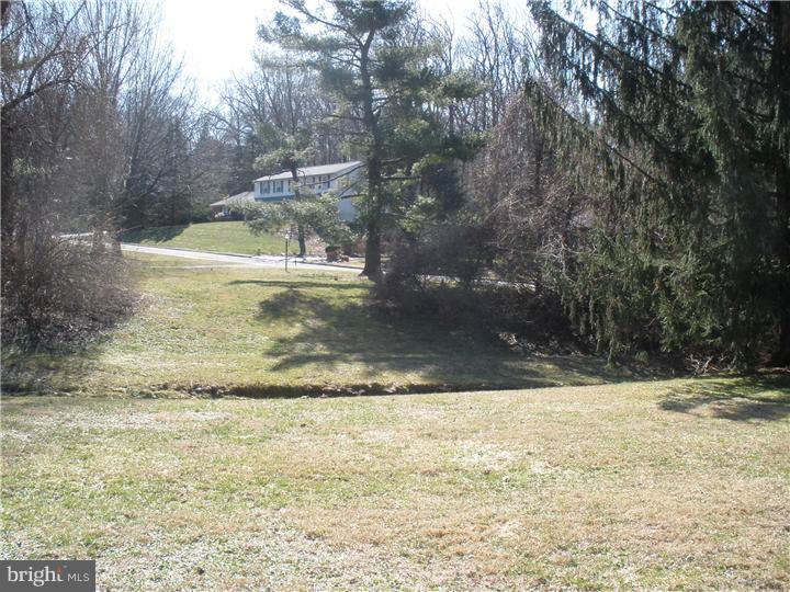 8908 Patton Road Glenside, PA 19038 - Photo 5 of 25 Side Yard