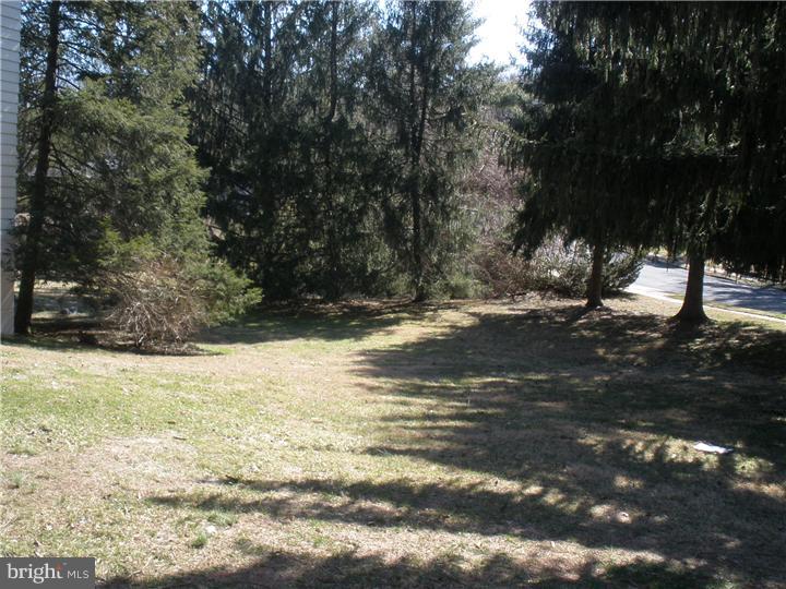 8908 Patton Road Glenside, PA 19038 - Photo 6 of 25 Side Yard