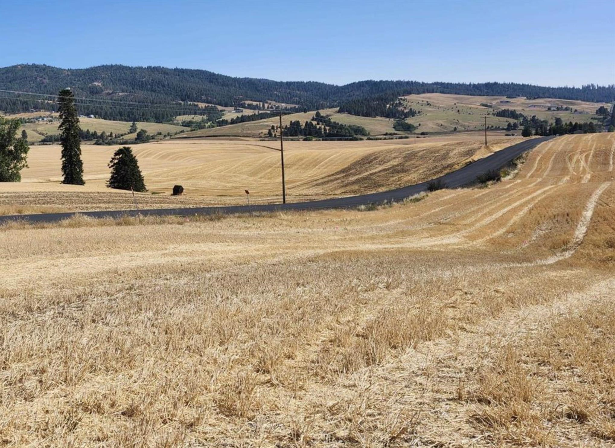 8006 South Jackson Road Mica, WA 99023 - Photo 6 of 7