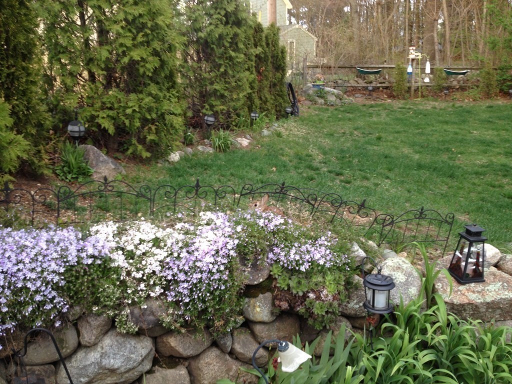 64 Canterbury Road Lynnfield, MA 01940 - Photo 34 of 41 Gallery Image 34