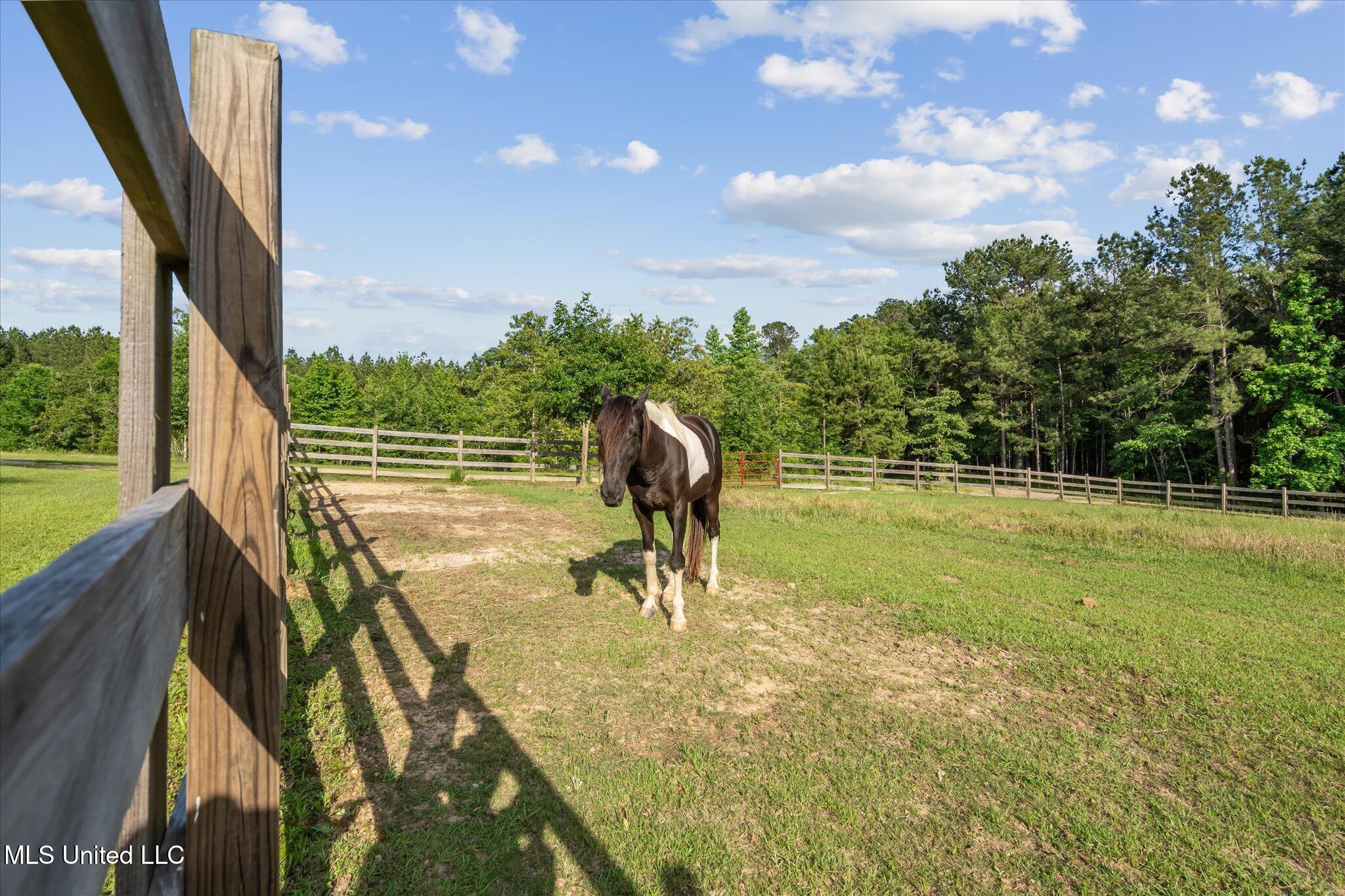 266 West P A Road North Moselle, MS 39459 - Photo 80 of 97 100-STA08350