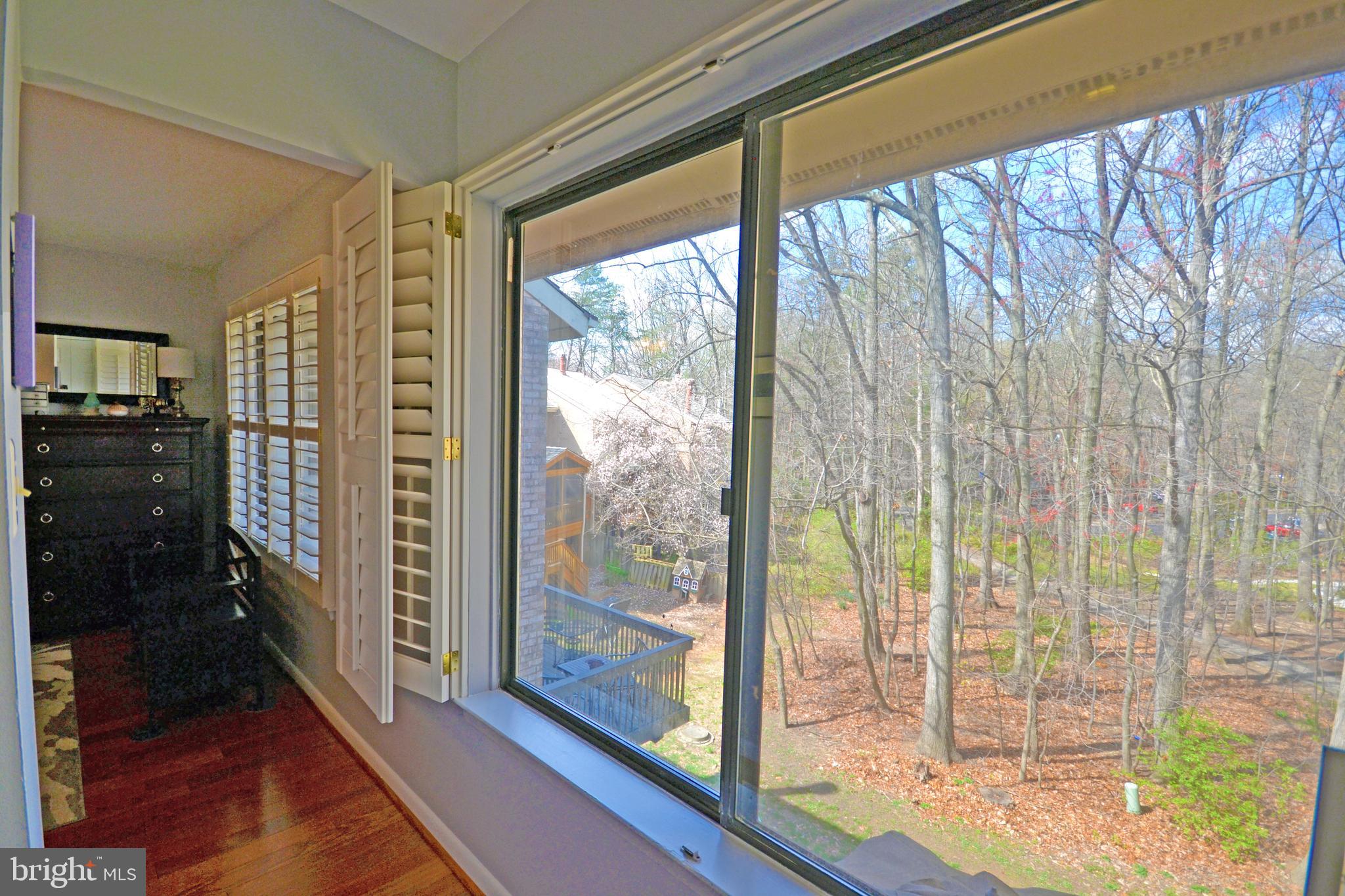 2046 Swans Neck Way Reston, VA 20191 - Photo 11 of 30 Serene nature view from Master Bedroom
