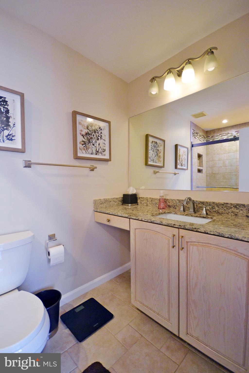 2046 Swans Neck Way Reston, VA 20191 - Photo 13 of 30 Master bathroom