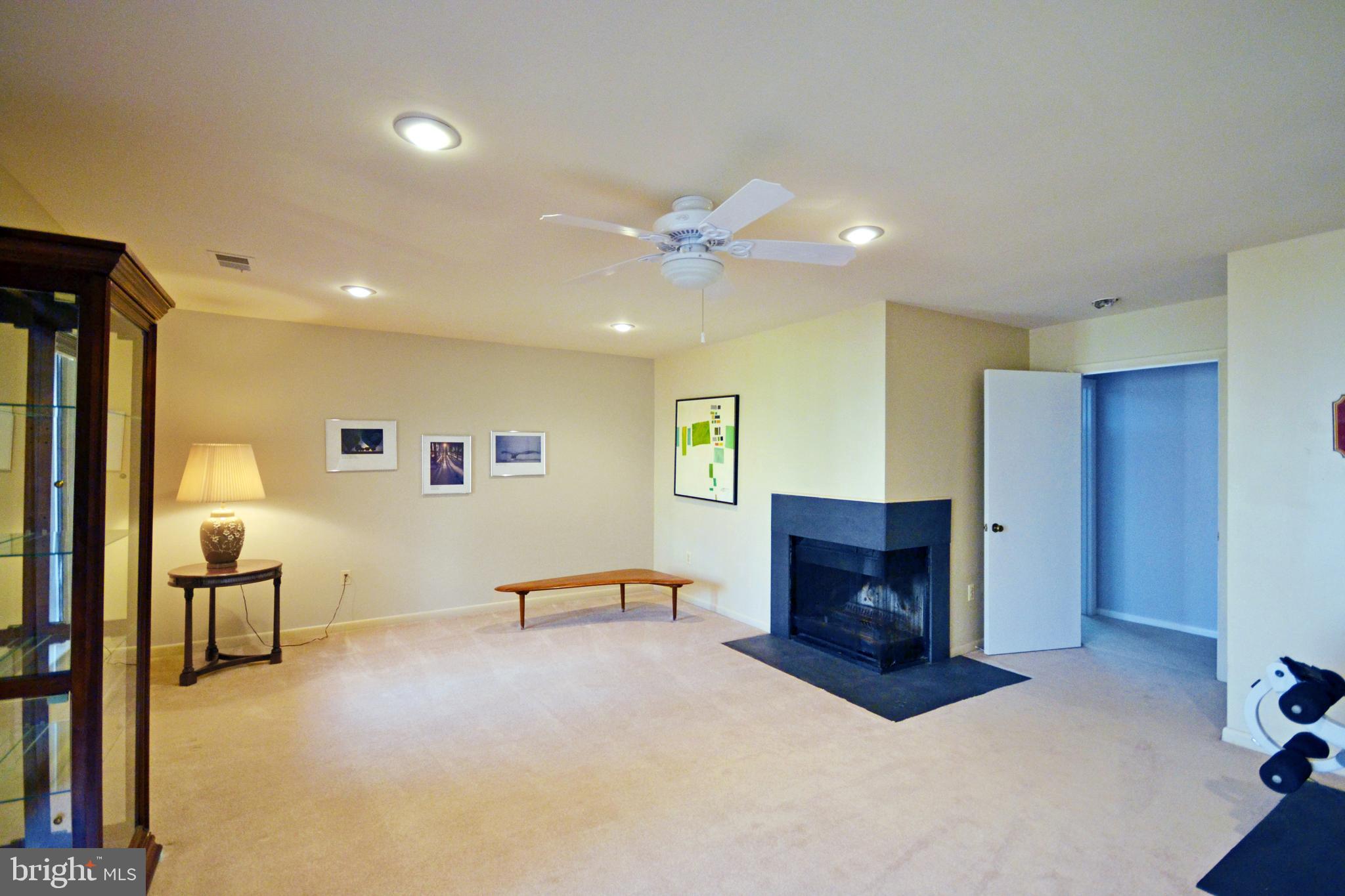2046 Swans Neck Way Reston, VA 20191 - Photo 18 of 30 Rec room with wood burning fireplace