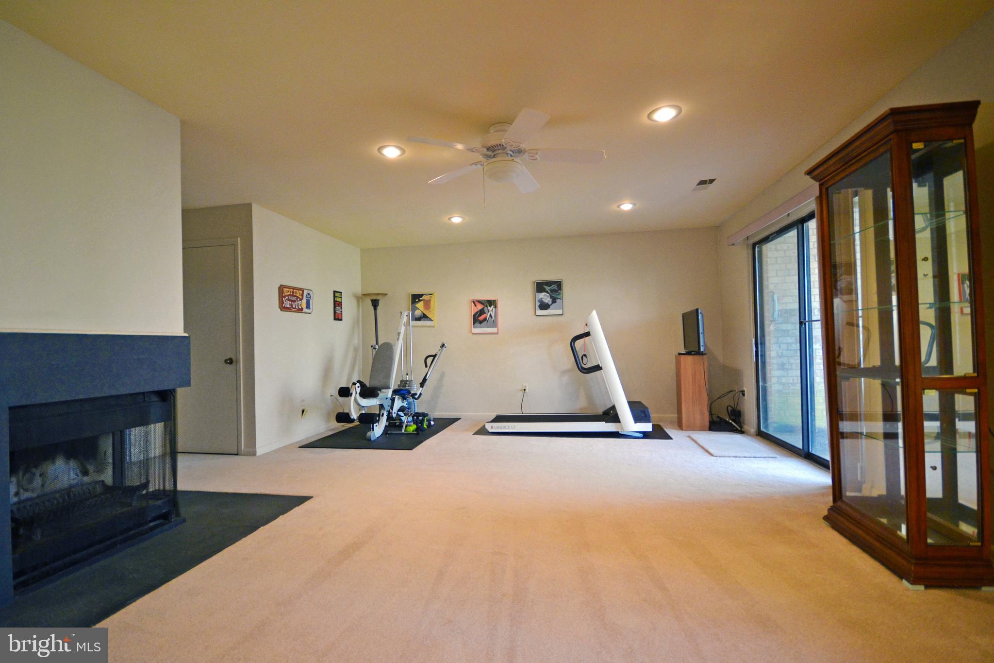2046 Swans Neck Way Reston, VA 20191 - Photo 19 of 30 Rec room with walk out access to backyard
