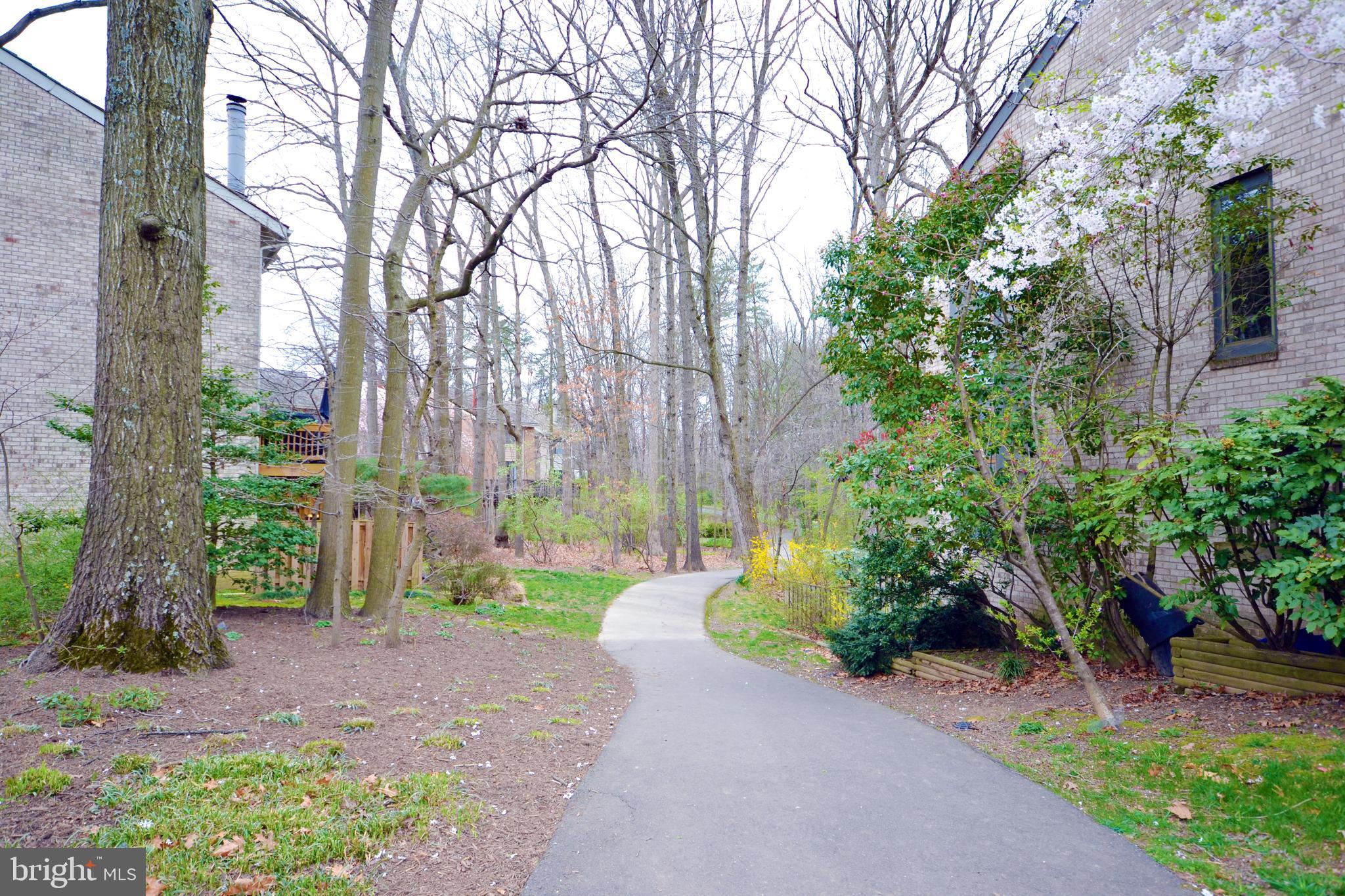 2046 Swans Neck Way Reston, VA 20191 - Photo 25 of 30 Walking trail