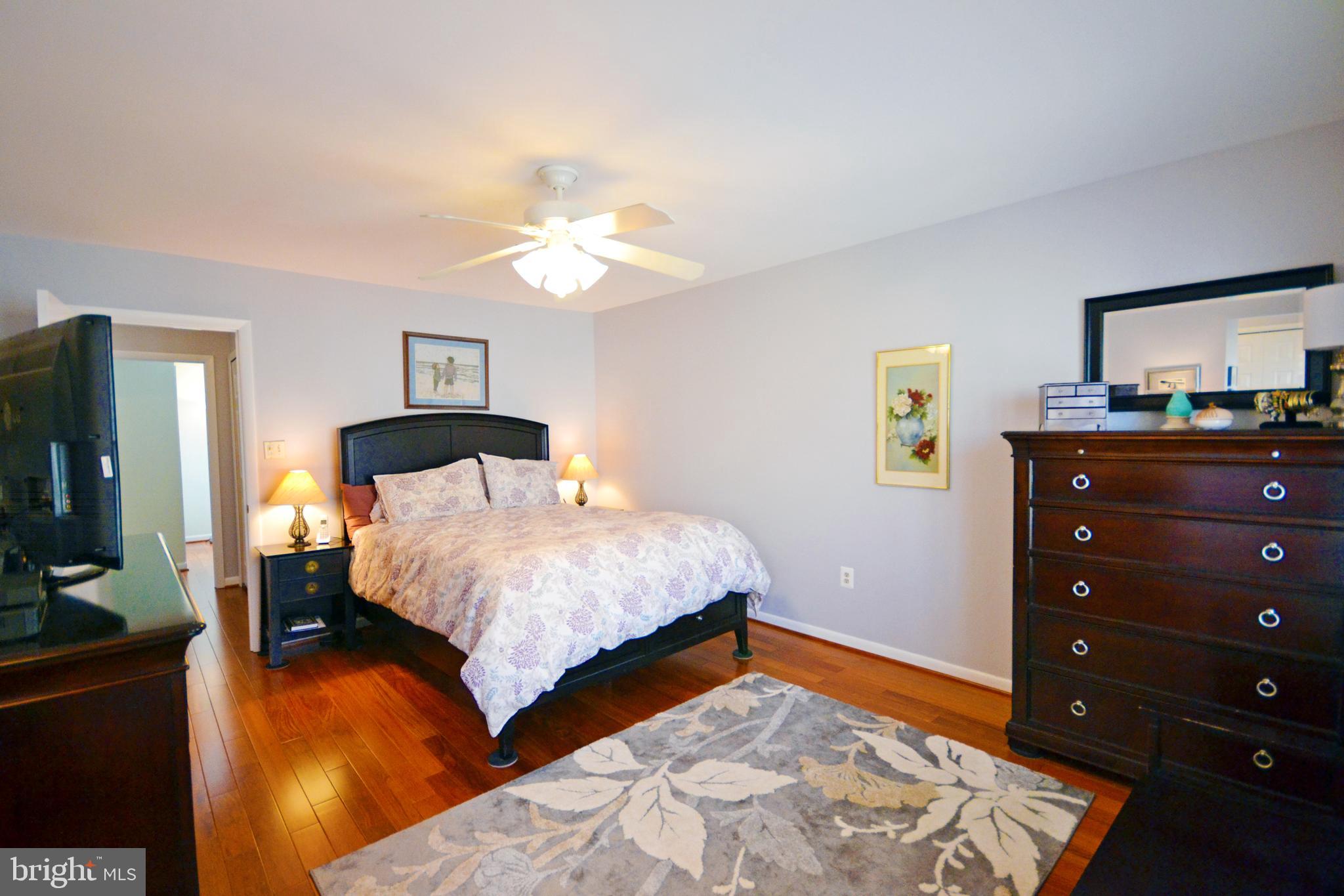 2046 Swans Neck Way Reston, VA 20191 - Photo 10 of 30 Master bedroom