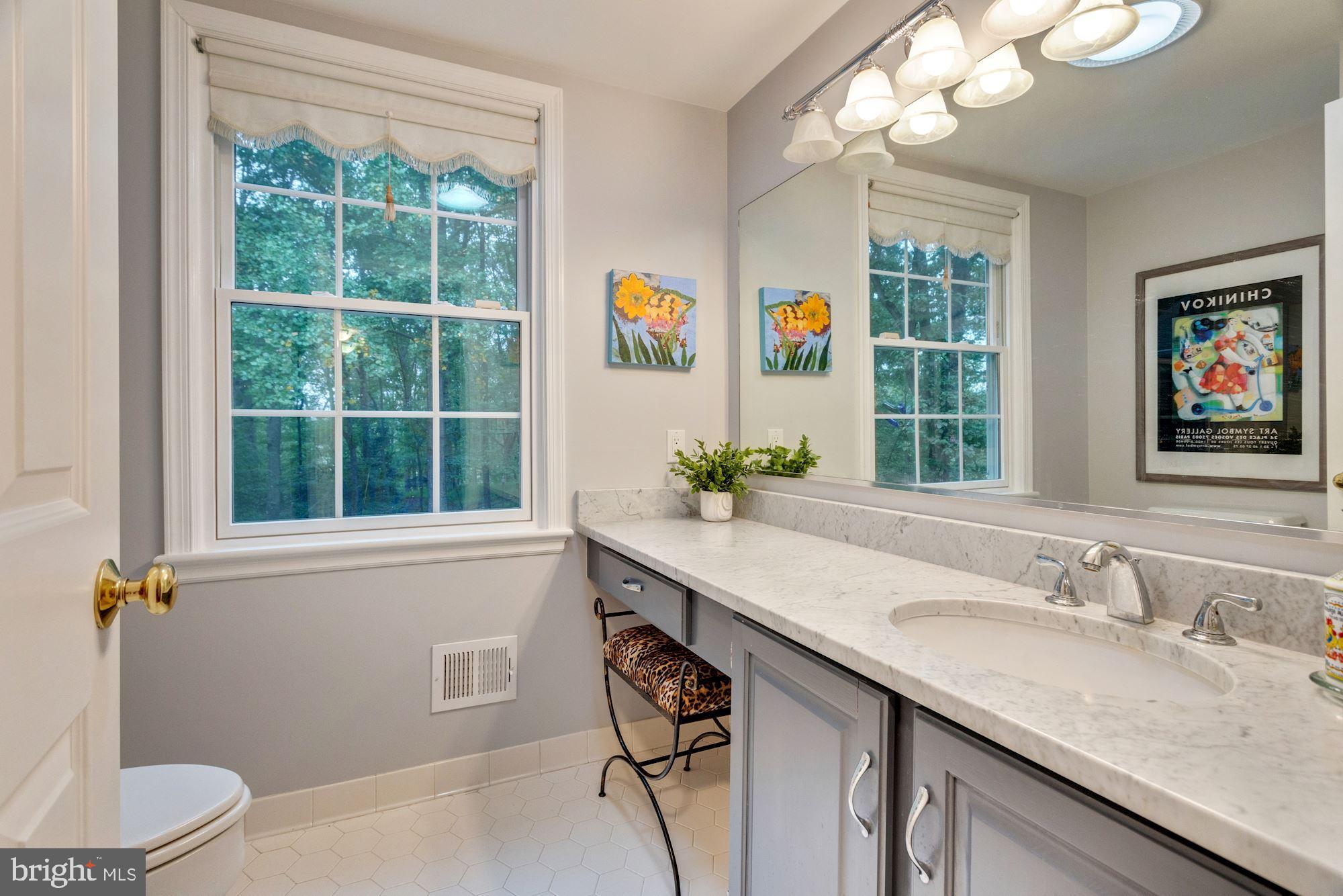 9820 Spring Ridge Lane Vienna, VA 22182 - Photo 20 of 50 Gallery Image 20