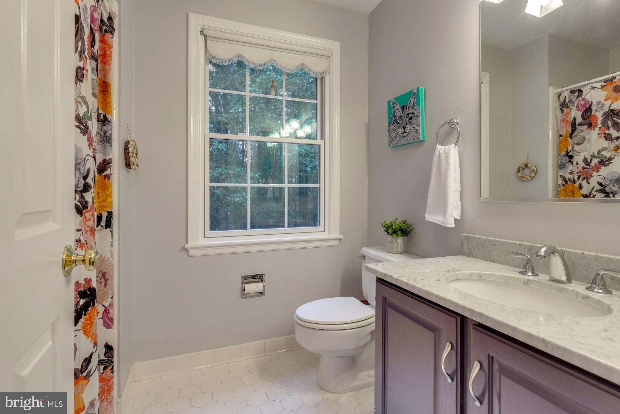 9820 Spring Ridge Lane Vienna, VA 22182 - Photo 42 of 50 Gallery Image 42