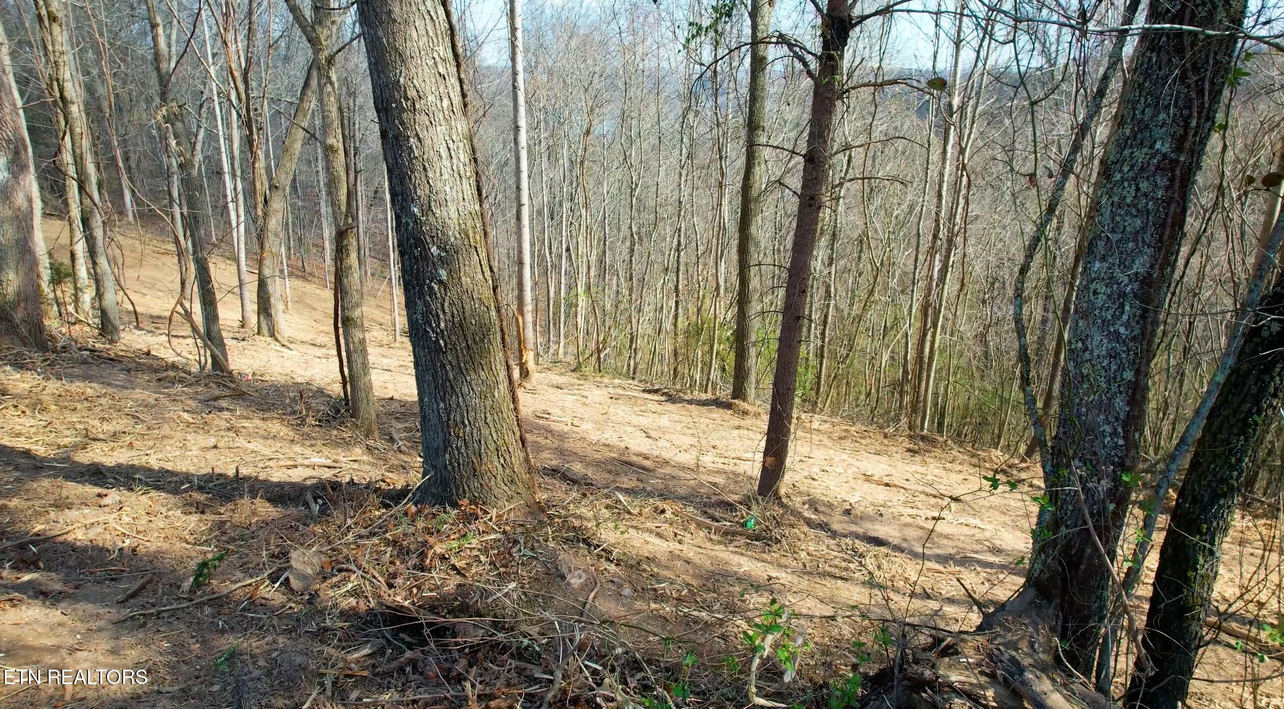 4160 Demory Road La Follette, TN 37766 - Photo 12 of 34 Demory Turkey Cove