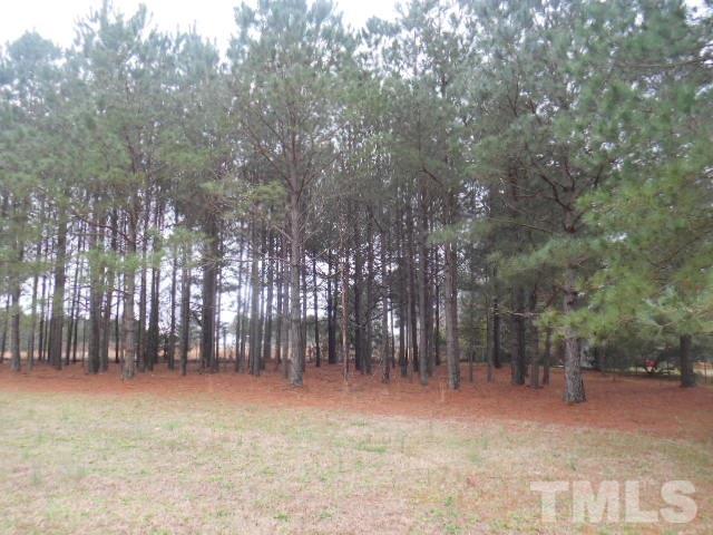1376 3 Bridge Road Dunn, NC 28334 - Photo 16 of 17