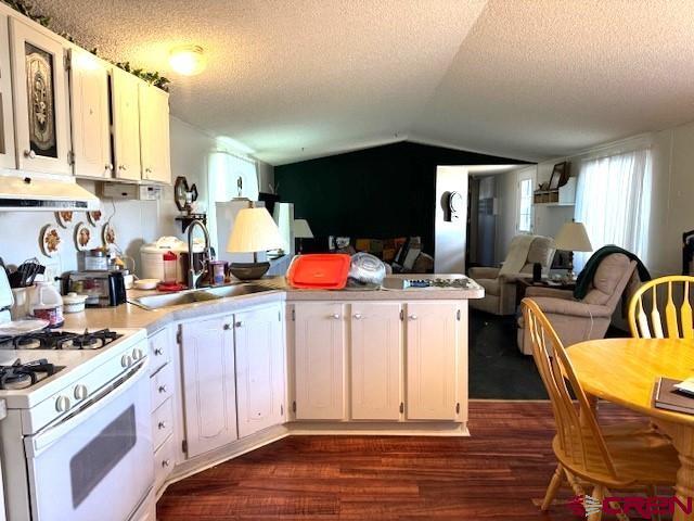11290 Highway 145 Cortez, CO 81321 - Photo 15 of 27 a open kitchen with granite countertop a stove a sink dishwasher and white cabinets with wooden floor