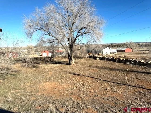 a view of dirt yard with a large tree