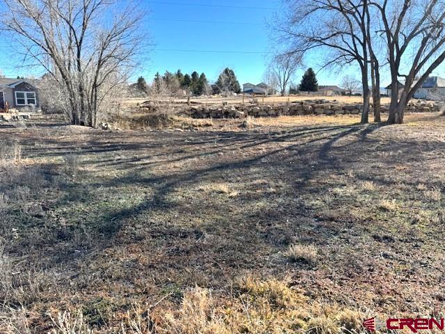 11290 Highway 145 Cortez, CO 81321 - Photo 5 of 27 a view of dirt yard with a large tree
