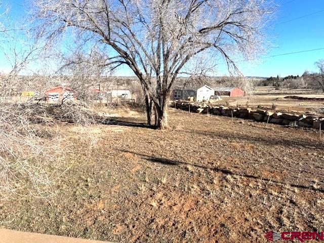 11290 Highway 145 Cortez, CO 81321 - Photo 6 of 27 a street view with large trees