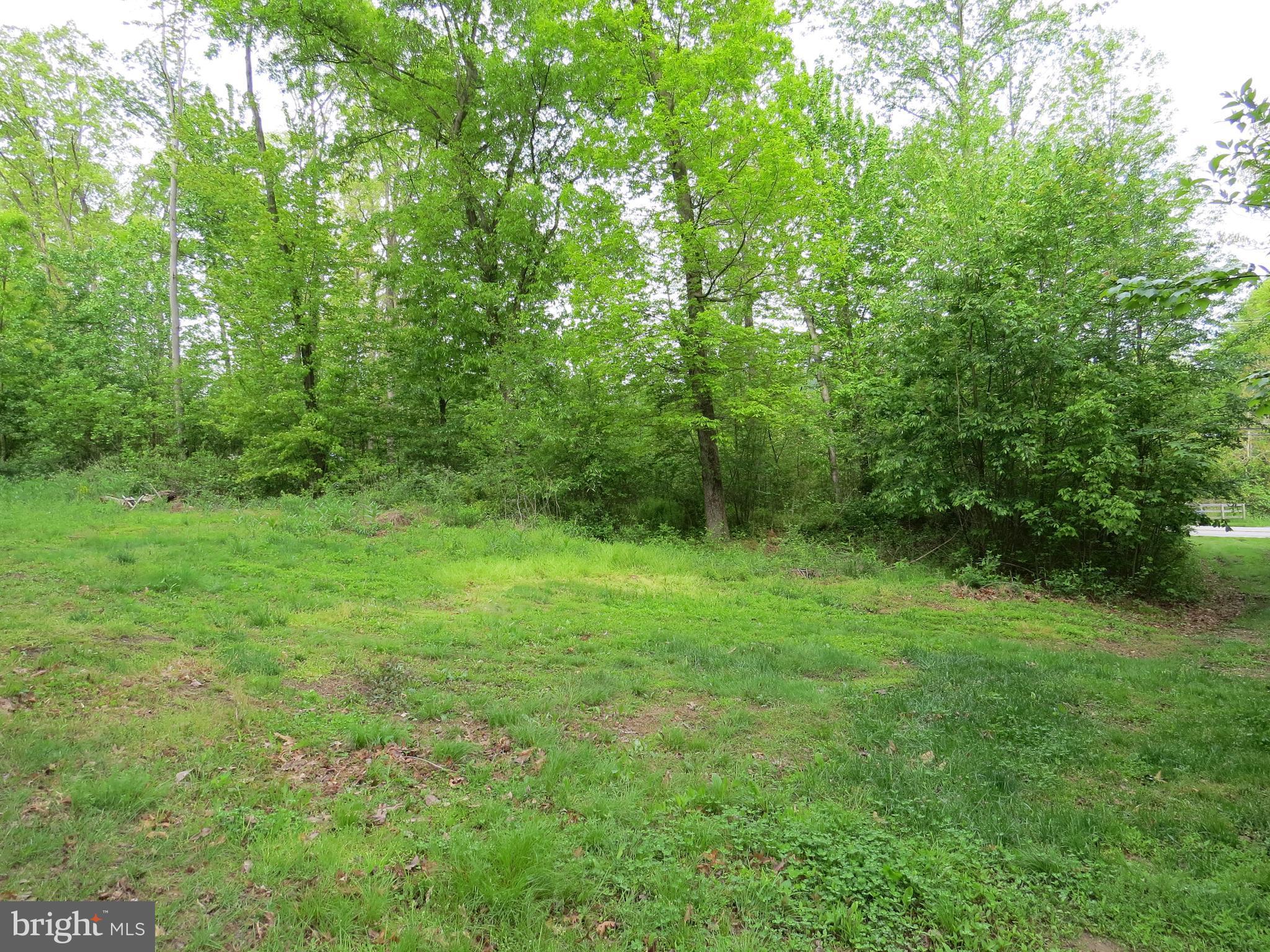 Warehime Road Manchester, MD 21102 - Photo 7 of 8 Perc Site (summer view)