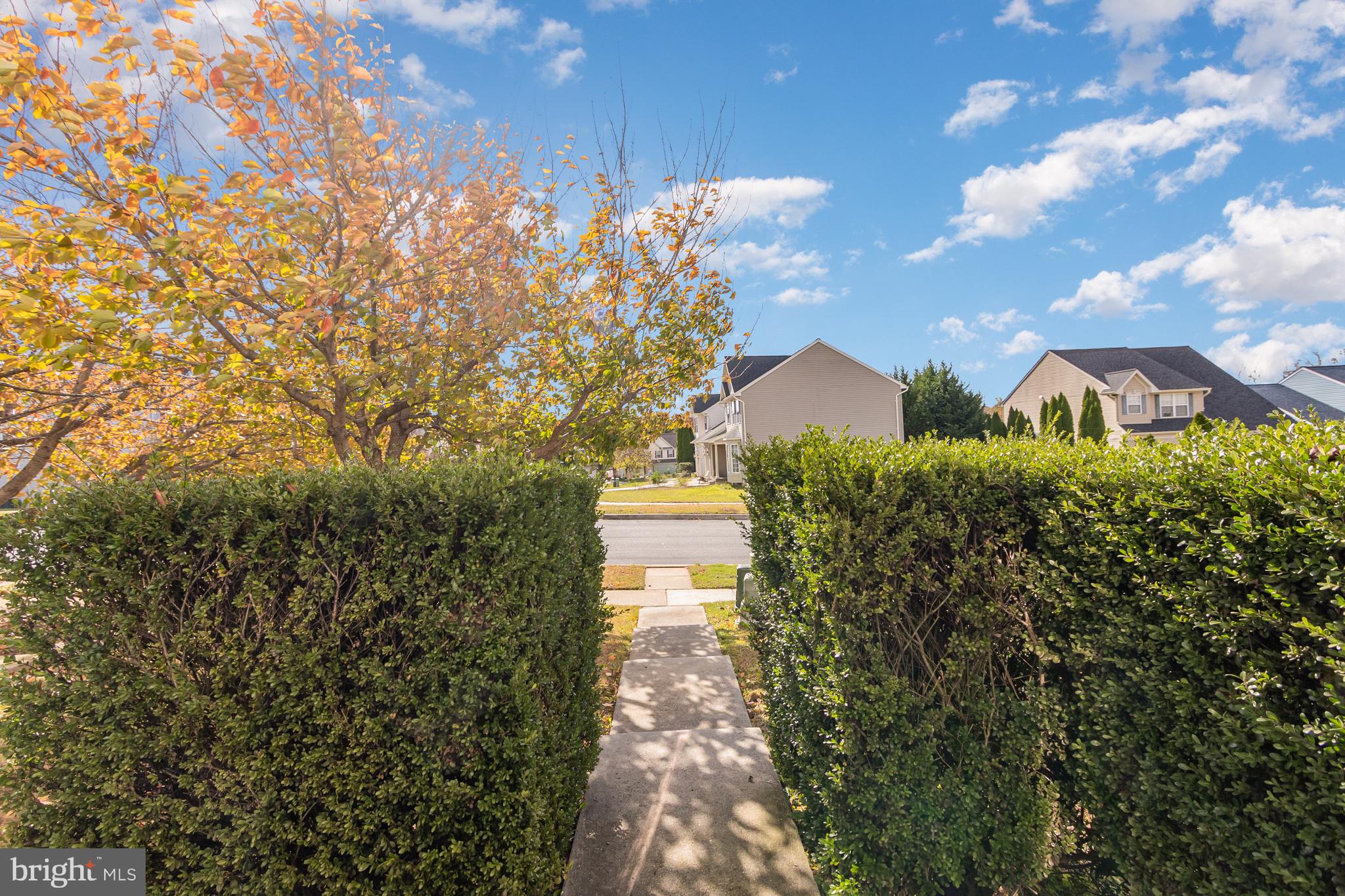 124 Maple Leaf Drive Rising Sun, MD 21911 - Photo 11 of 46 a view of a yard