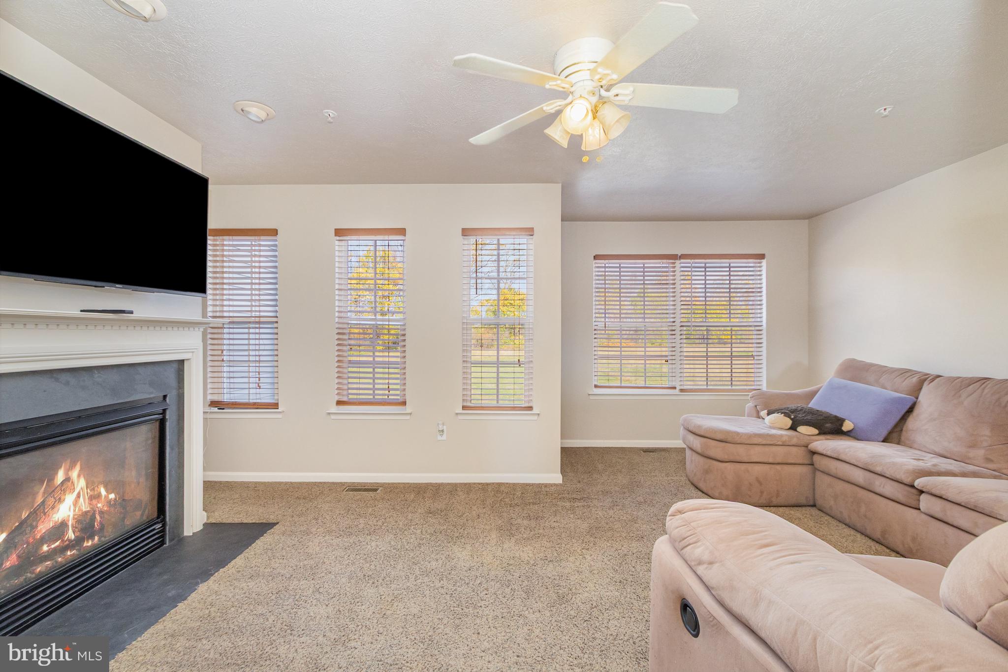 124 Maple Leaf Drive Rising Sun, MD 21911 - Photo 17 of 46 a living room with furniture a flat screen tv and a fireplace