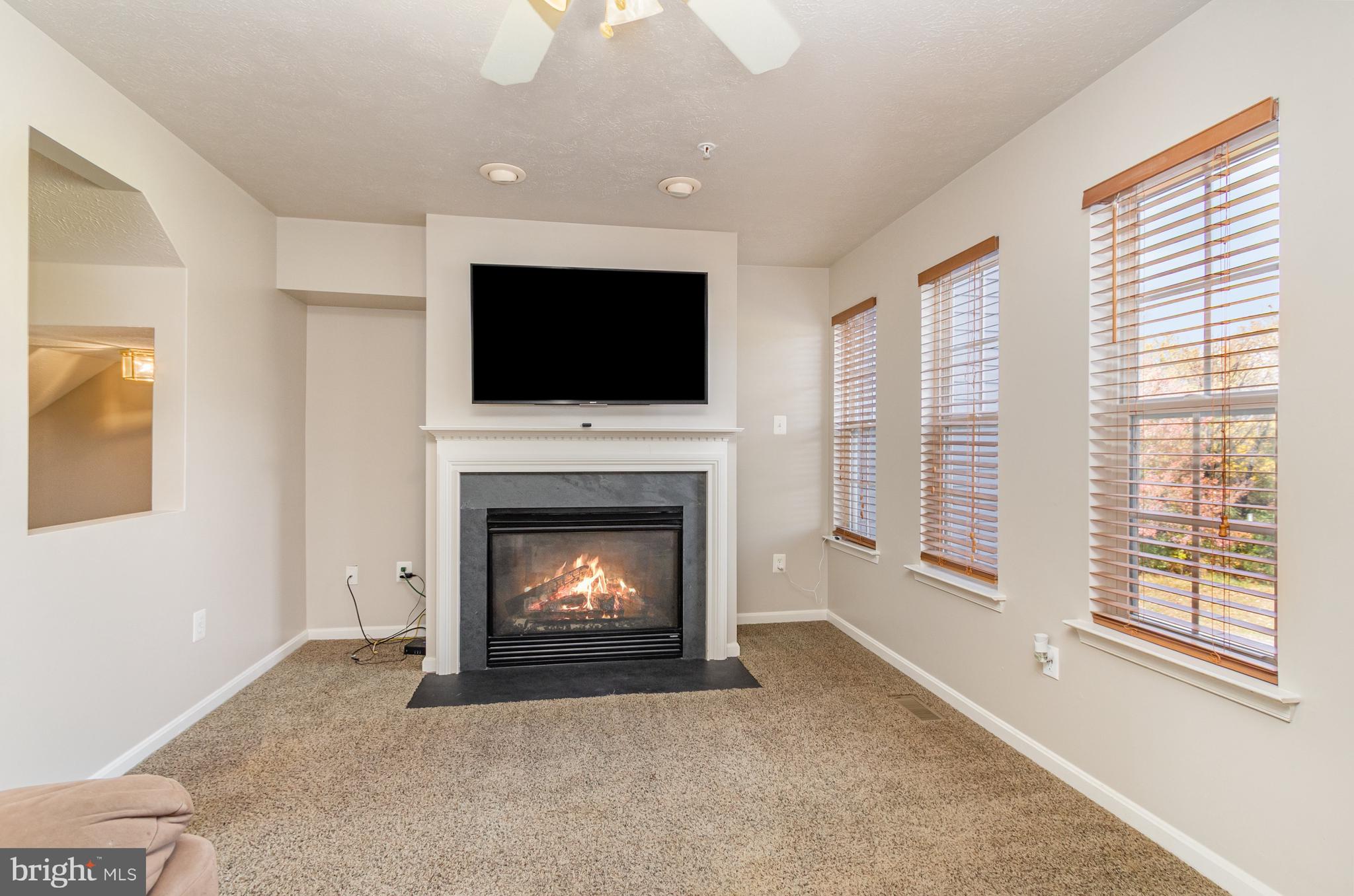 124 Maple Leaf Drive Rising Sun, MD 21911 - Photo 19 of 46 a living room with a fireplace and a flat screen tv