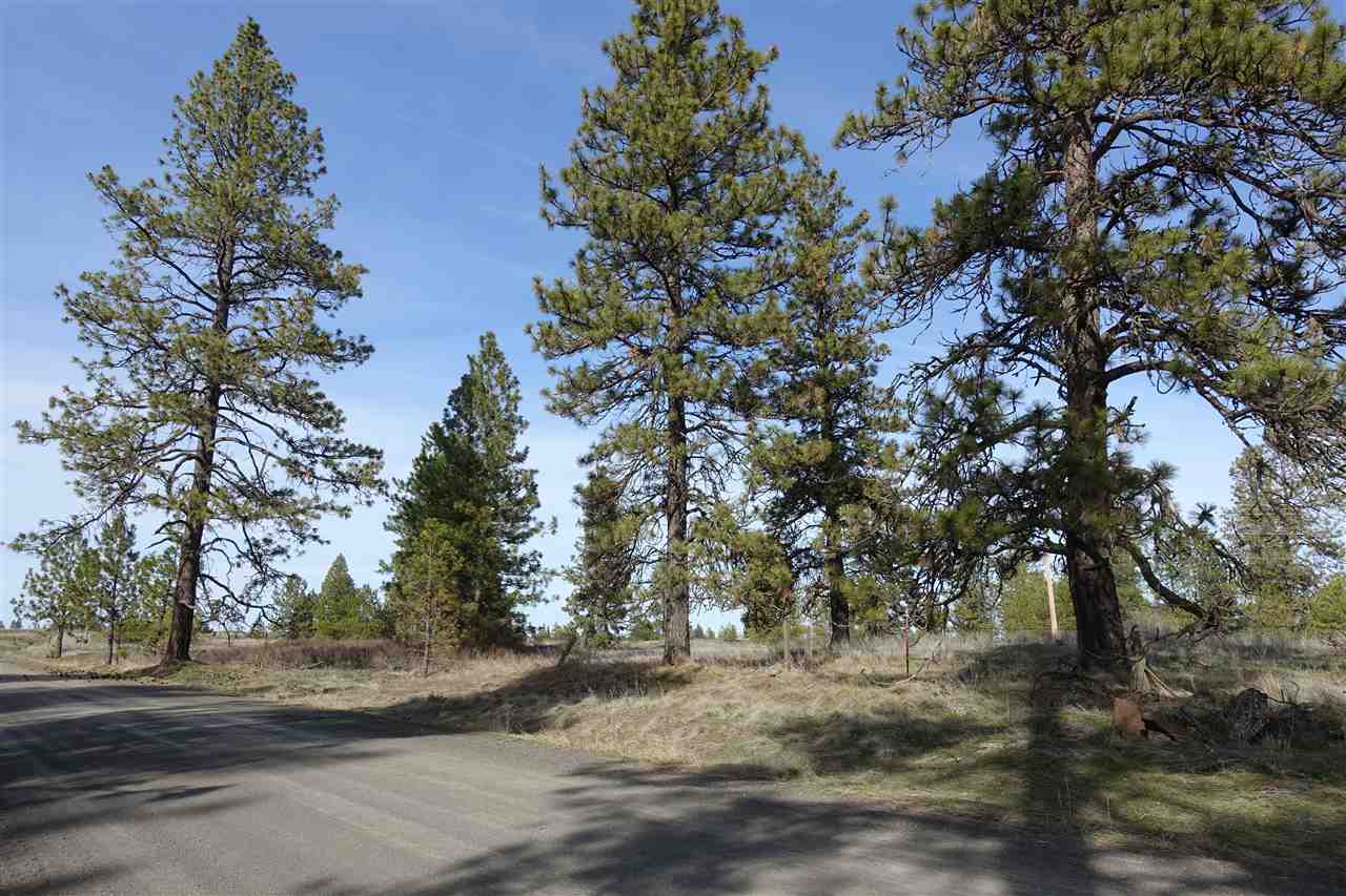 0 West Sterling Road Cheney, WA 99004 - Photo 3 of 14