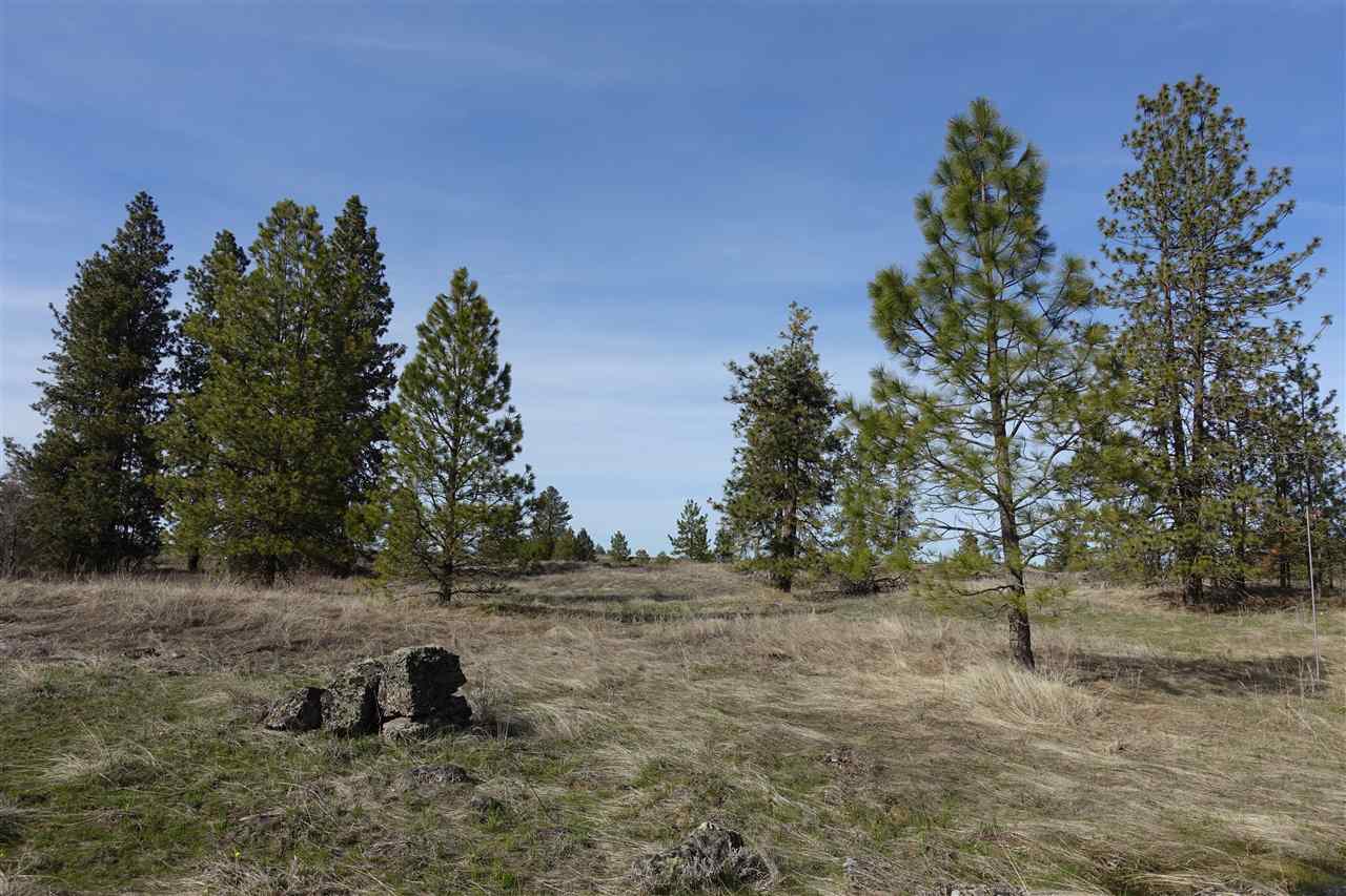 0 West Sterling Road Cheney, WA 99004 - Photo 5 of 14
