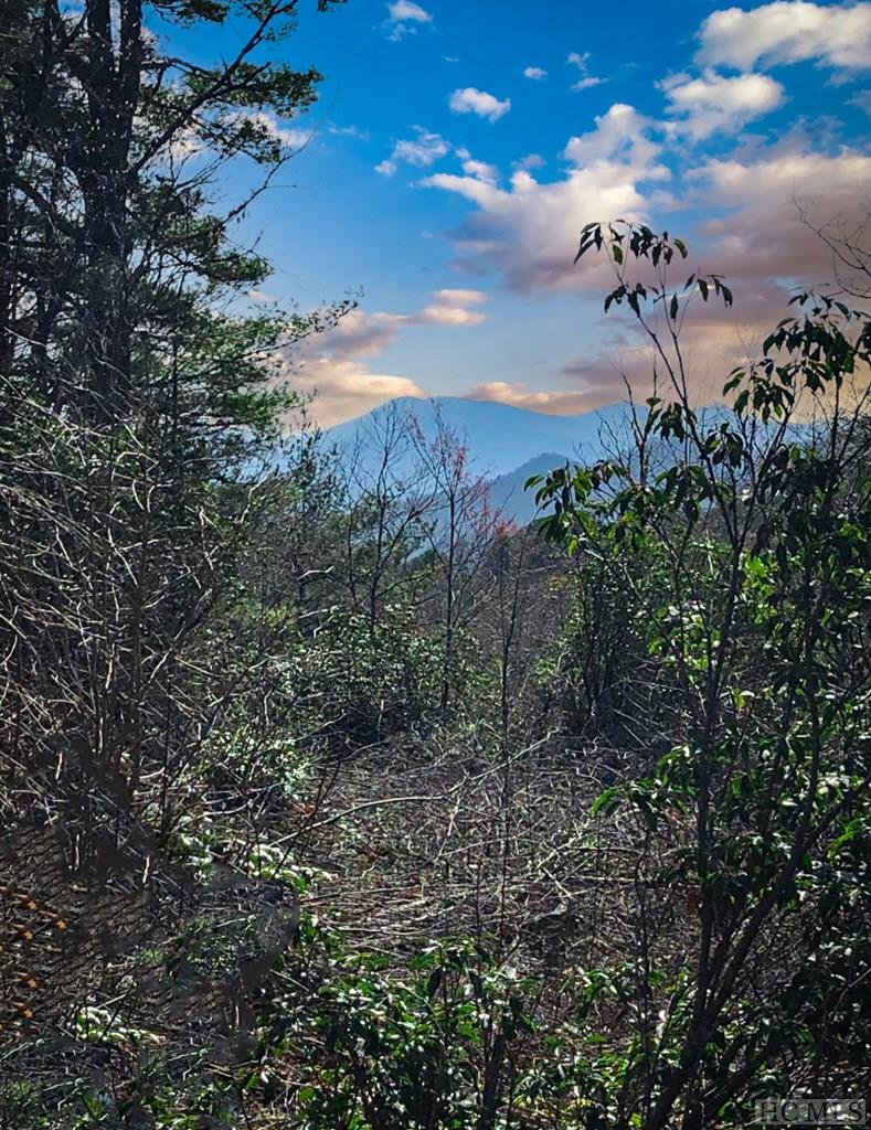 307 Old Bear Ridge Road Scaly Mountain, NC 28775 - Photo 7 of 11 Gallery Image 7