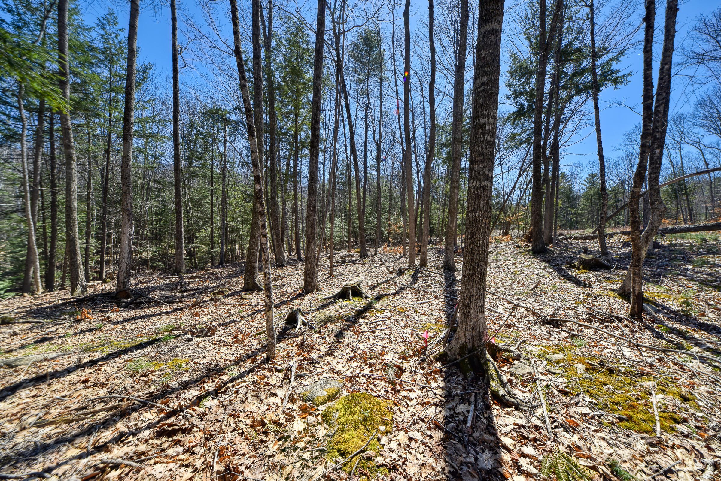 0 Route9-126 Road Litchfield, ME 04350 - Photo 10 of 105