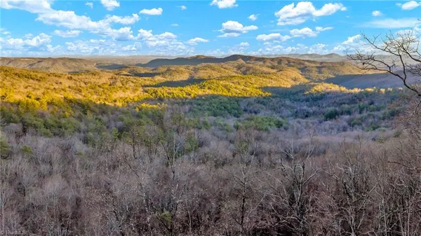 $949,500 | Tbd Lump Road, Purlear, NC 28665