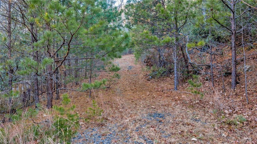 Tbd Lump Road Purlear, NC 28665 - Photo 11 of 25