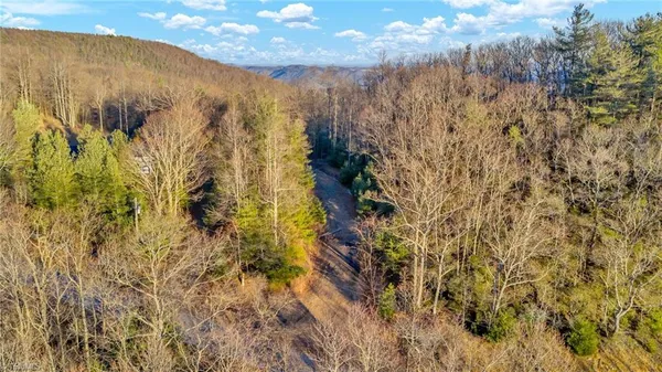 $949,500 | Tbd Lump Road, Purlear, NC 28665